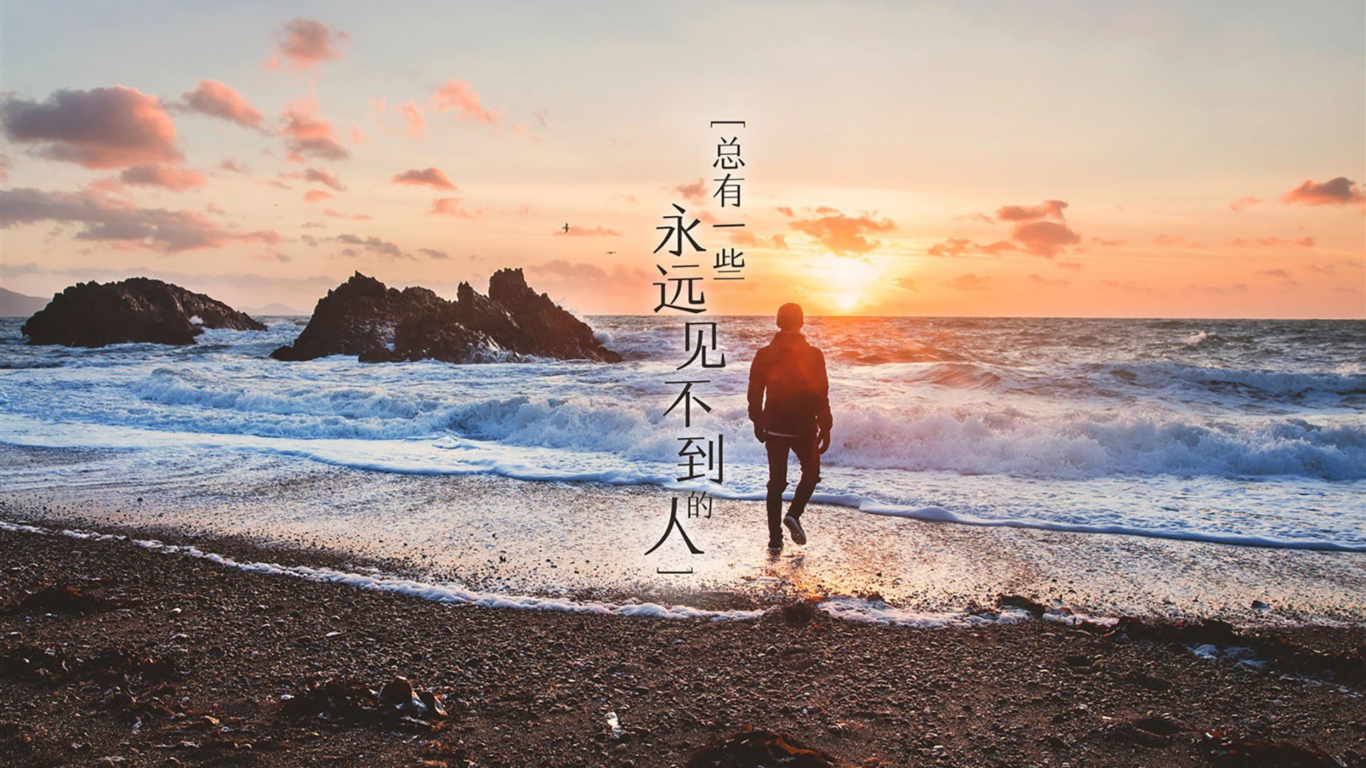 瑞士马术队在巴黎奥运会三项赛中获得第五名，表现出色。，马术瑞典