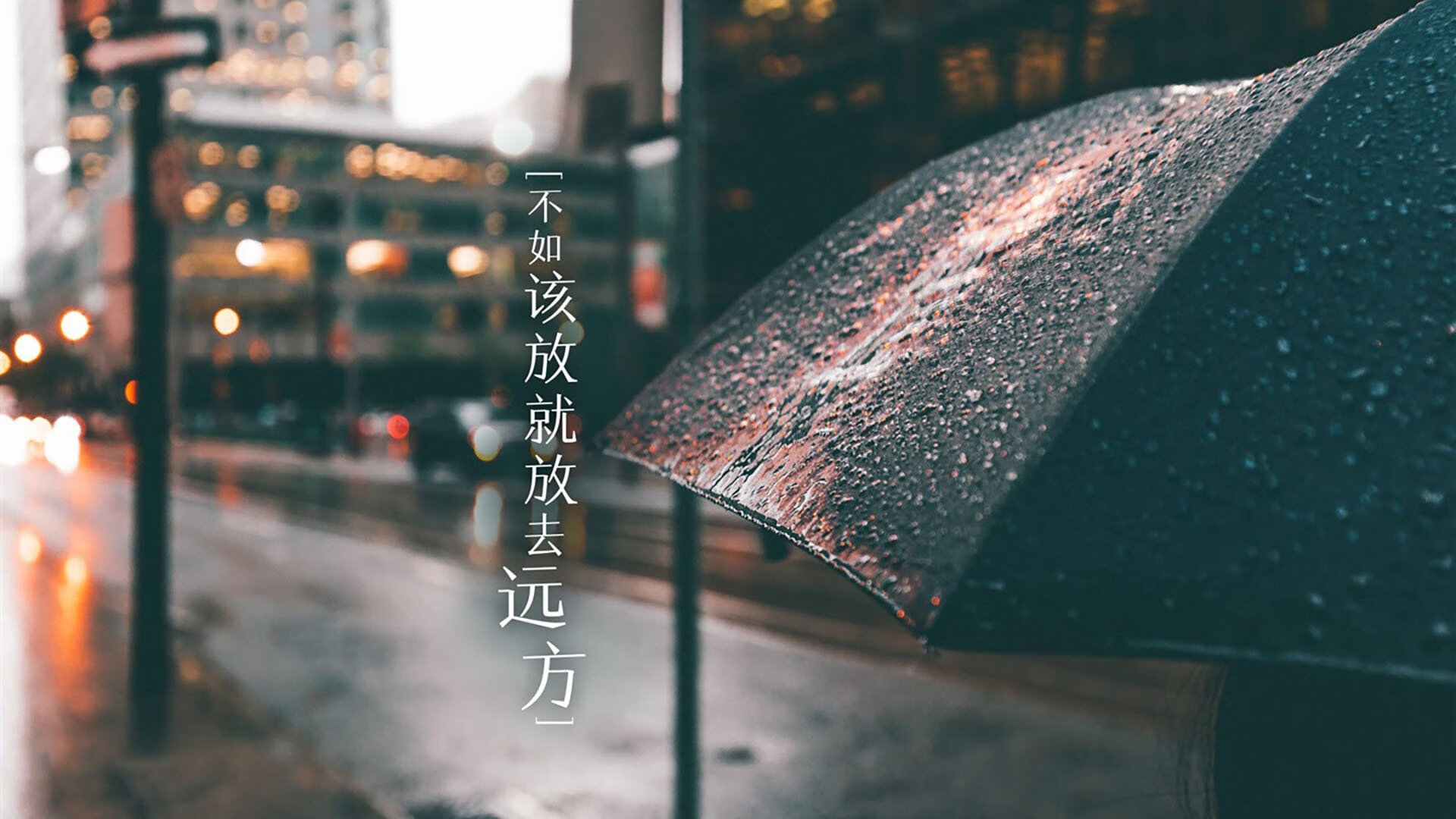 科比：从平凡到传奇，篮球王者的荣耀之路！，科比经典篮球