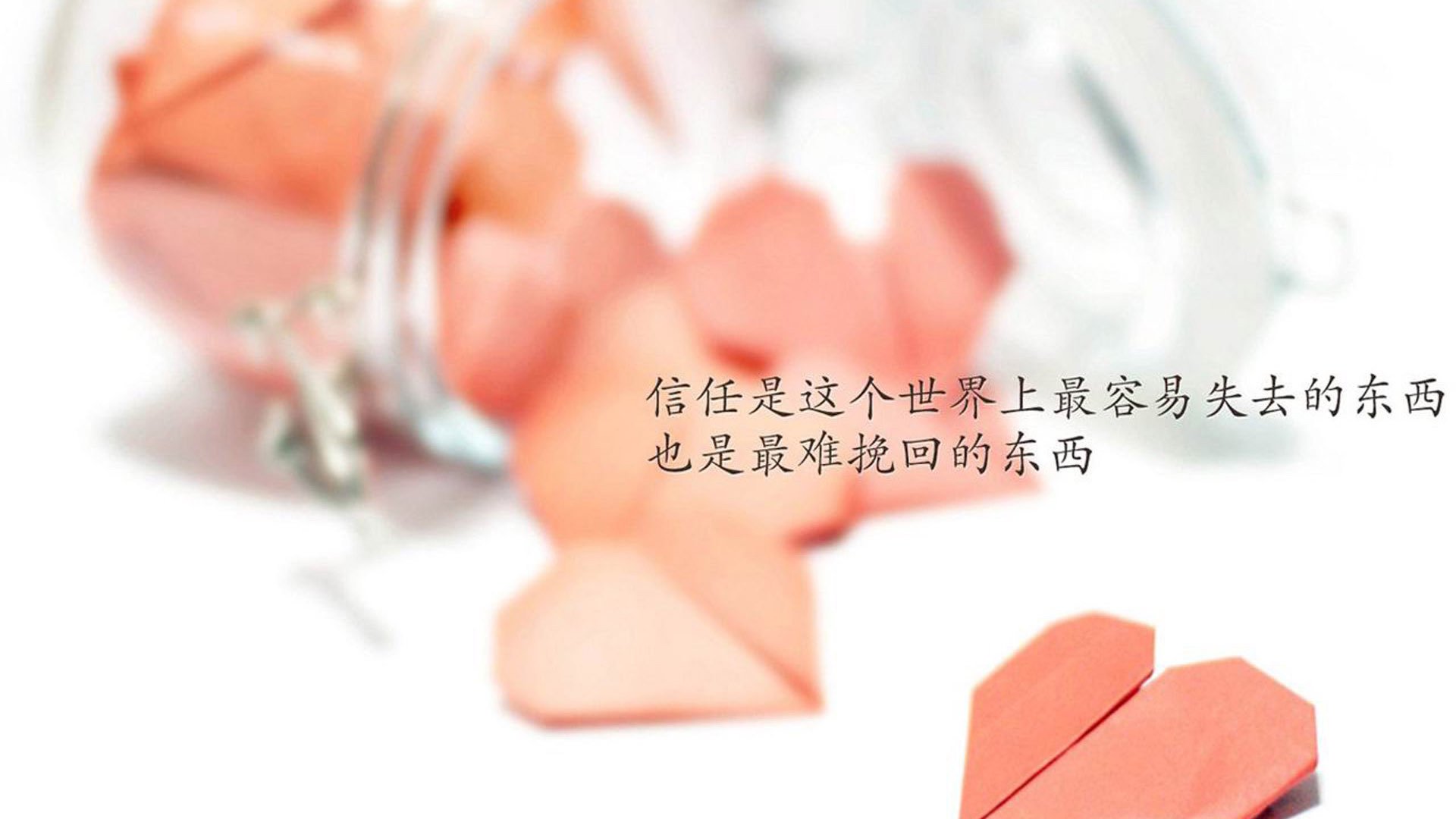 队内气氛融洽，团结奋战迎接挑战，团结队队呼