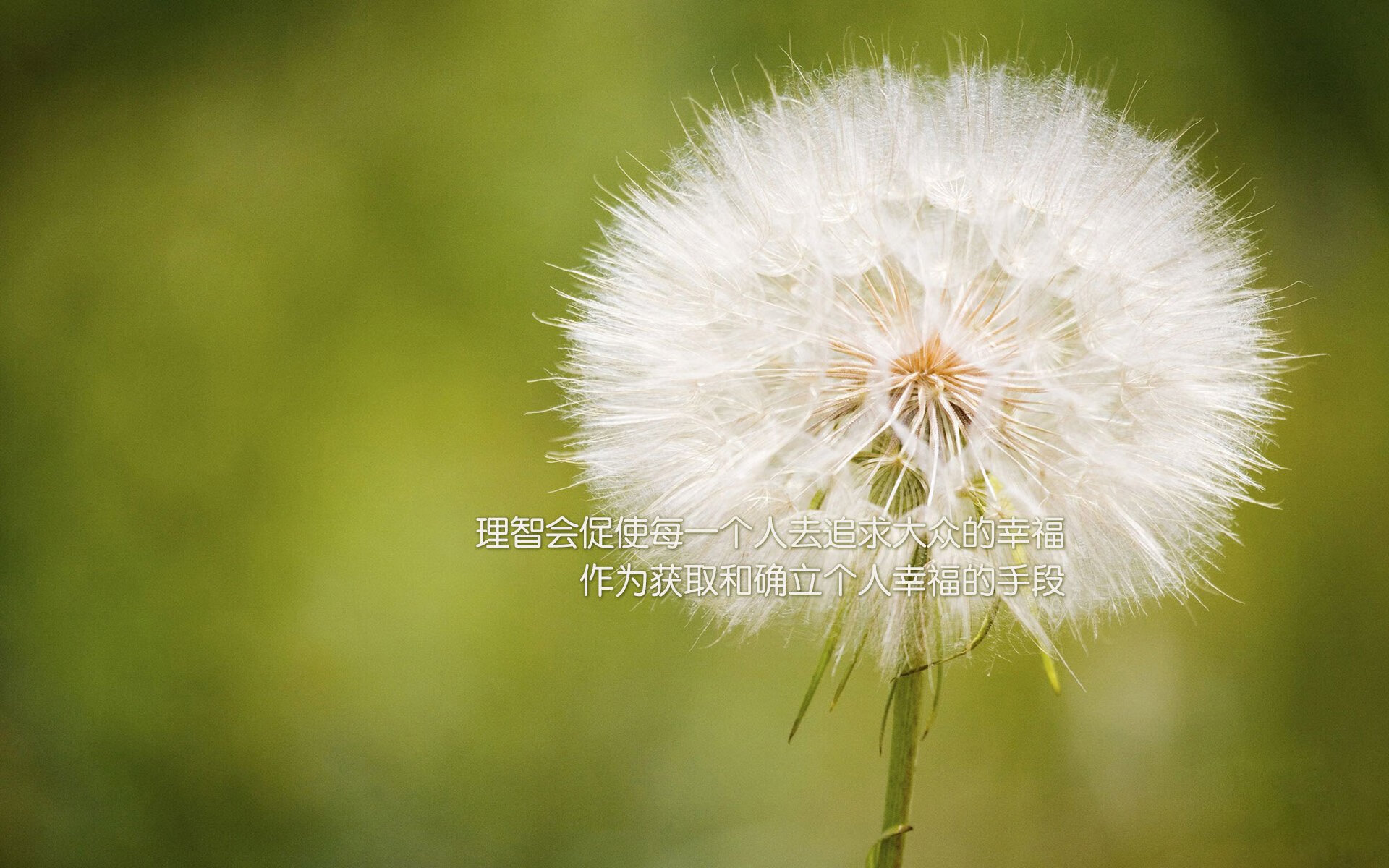 中国足球比赛节奏起伏对情绪管理影响分析，足球节奏越来越快