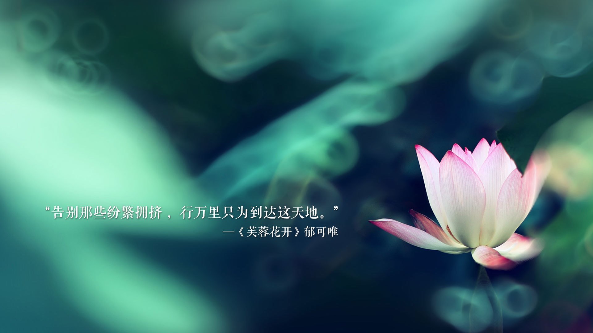 高校运动康复技术推广应用研究，运动康复专业学生技能大赛