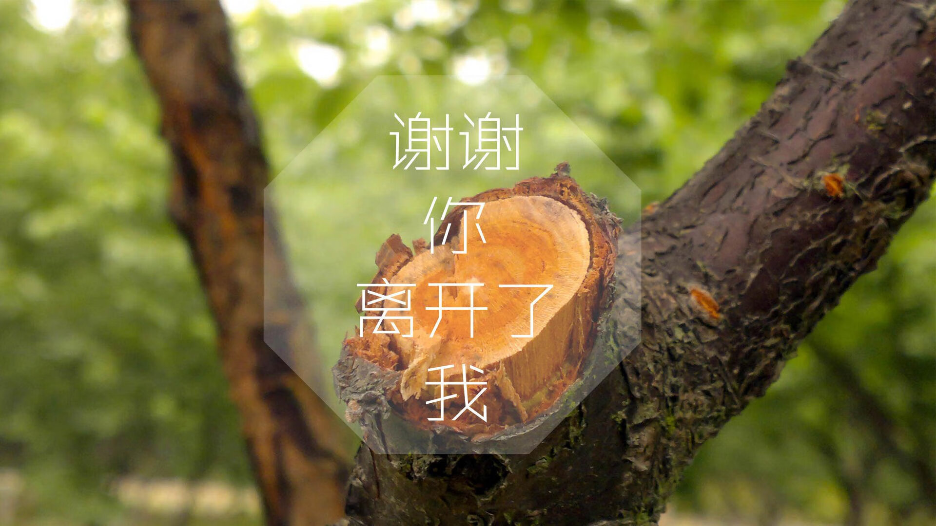 博卡青年力图缩小与欧陆豪门差距,博卡青年图片