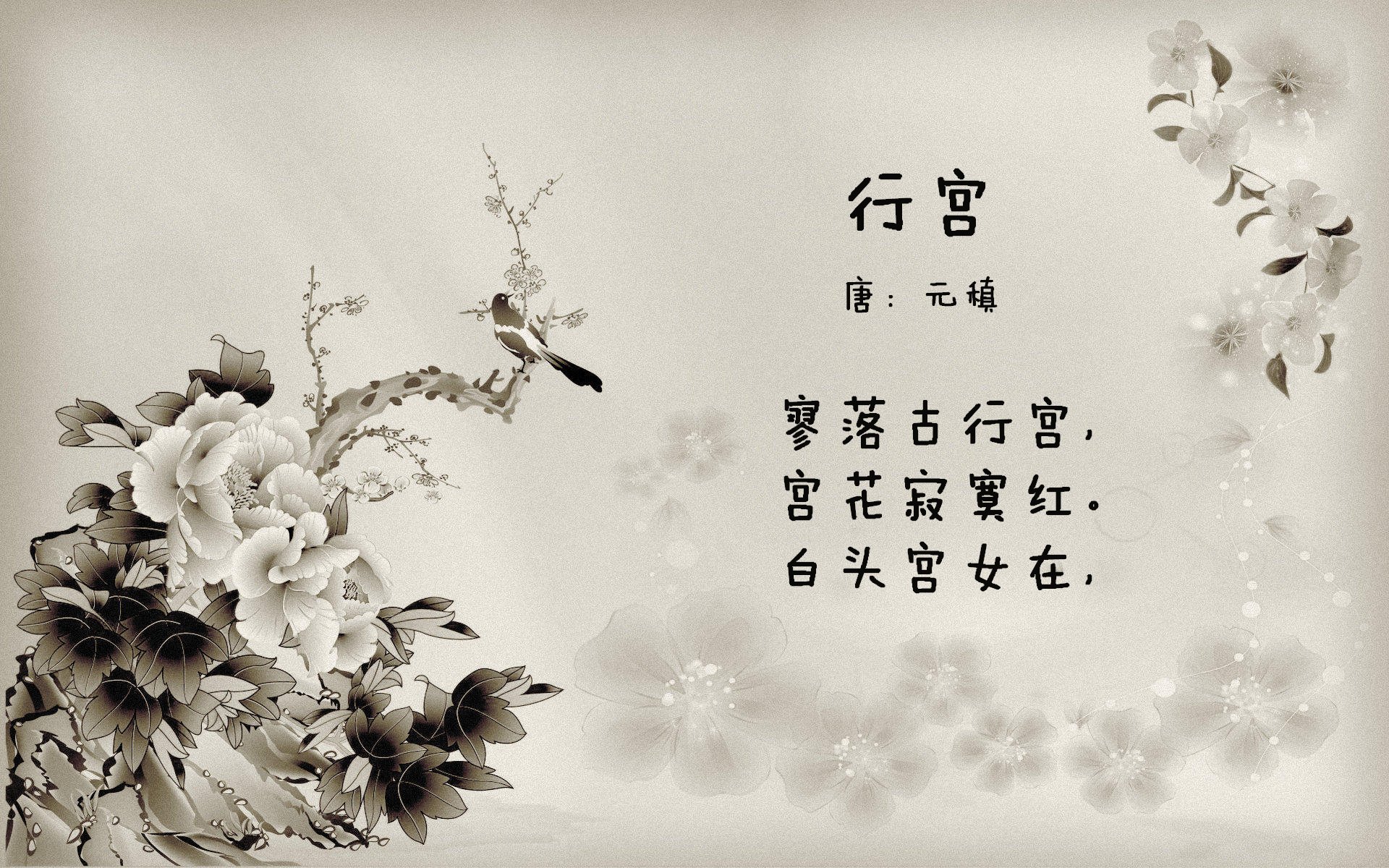“马丁·高尔西的成长与突破，推动阿根廷美洲狮队逐步成为世界强队”