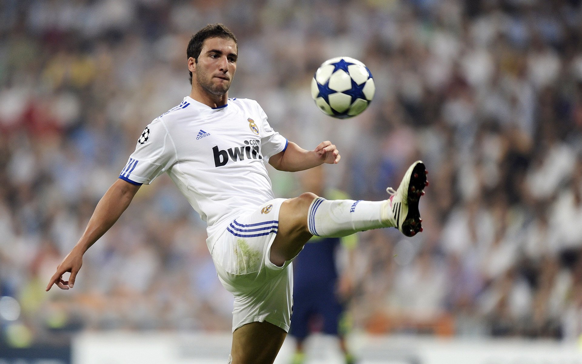 开云体育官方网站登陆-_时尚运动潮流：运动服饰的新宠_，时尚运动服牌子